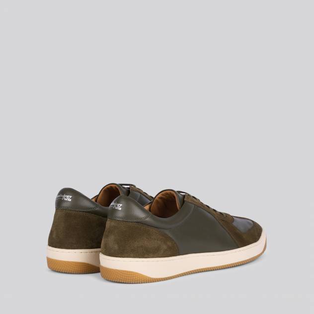 Olive 383