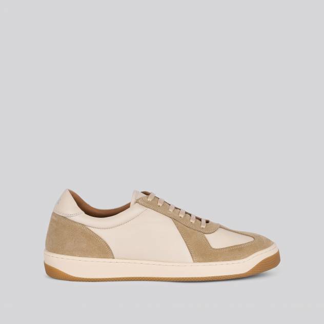 Olive 383