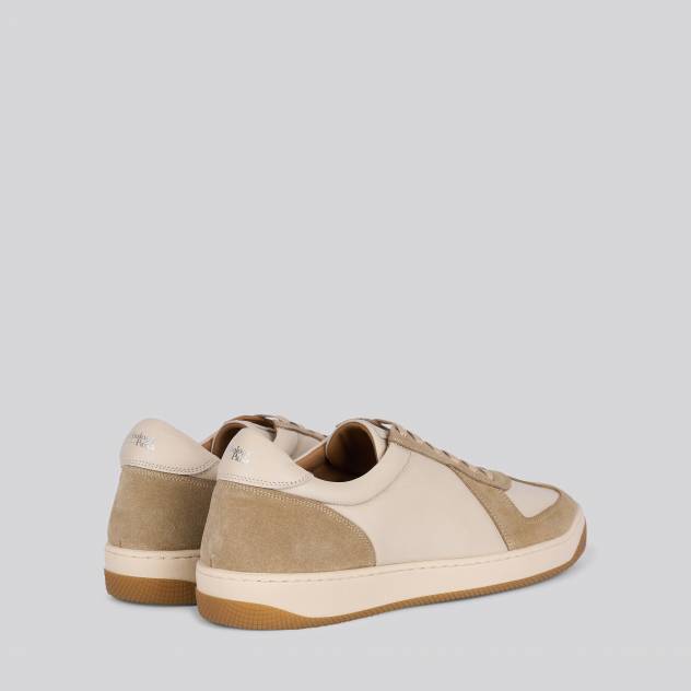 Olive 383
