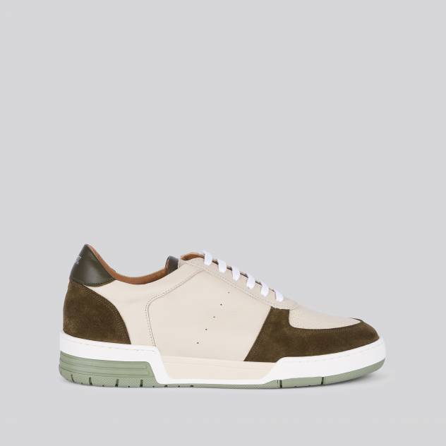 Olive 383