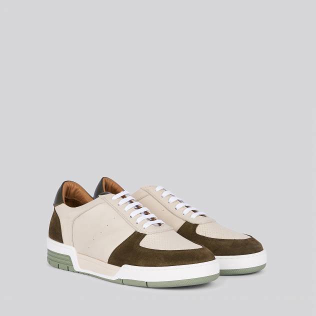 Olive 383