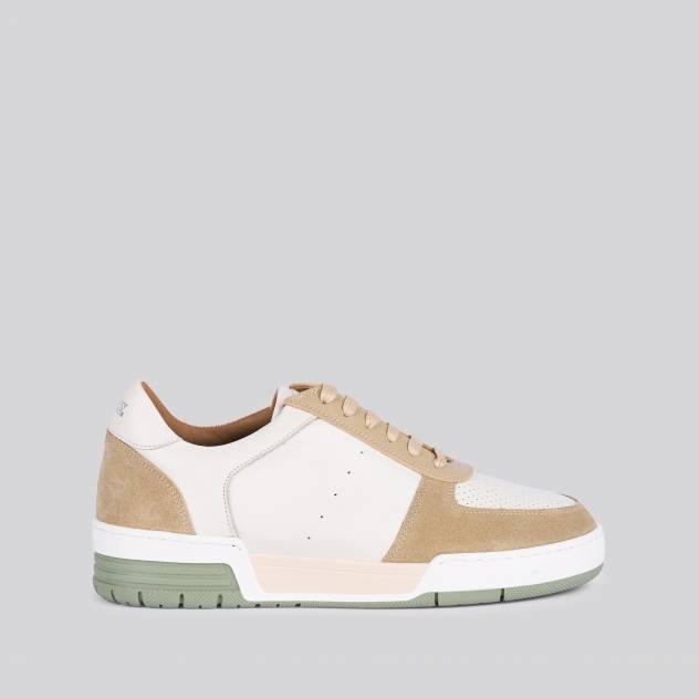 Olive 383