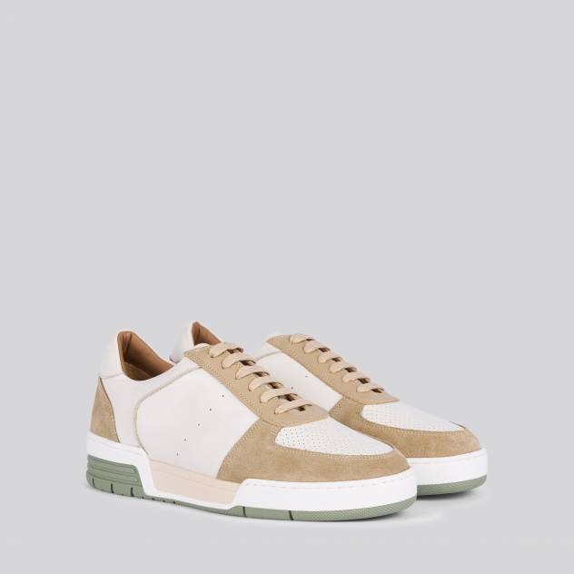 Olive 383
