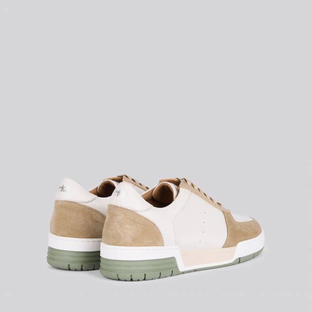 Olive 383