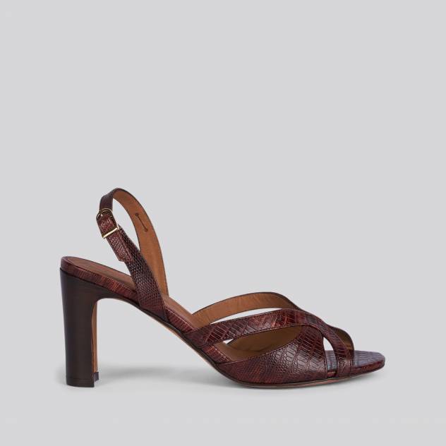 Marron 309