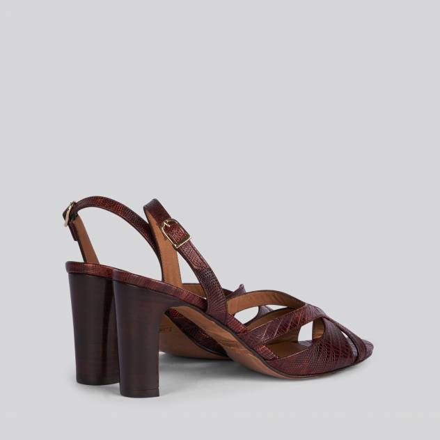 Marron 309