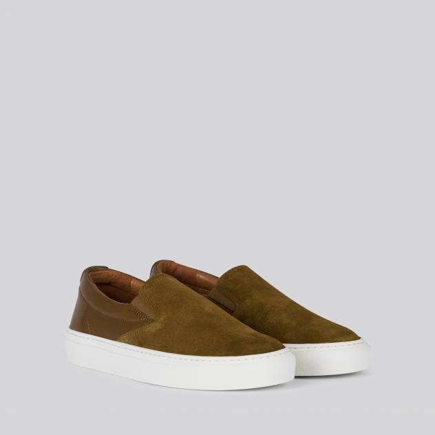 Sable 1623/ p.v0012