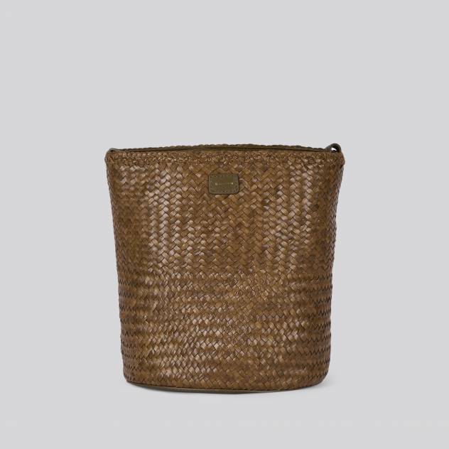 Kaki