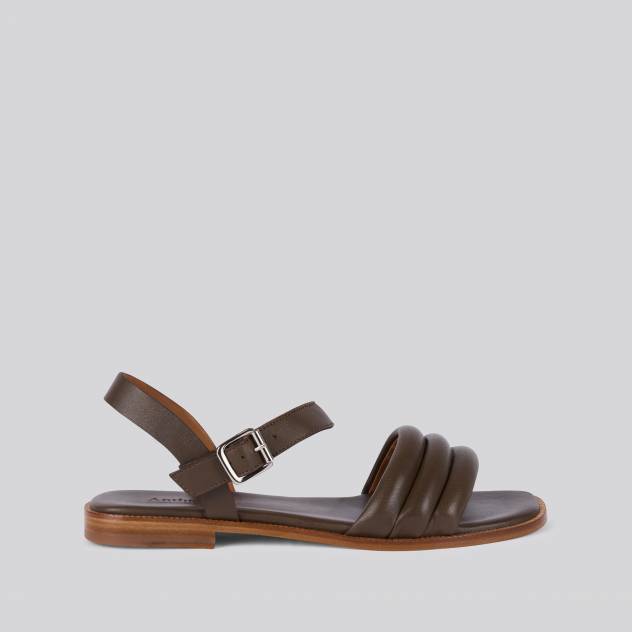 Taupe 0463