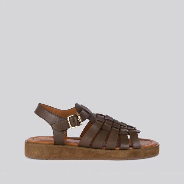 Taupe 0463