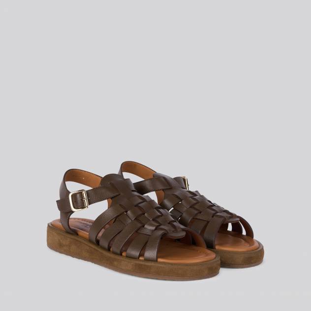 Taupe 0463