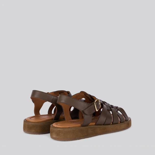 Taupe 0463