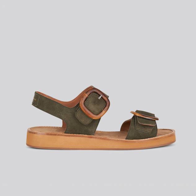 Olive