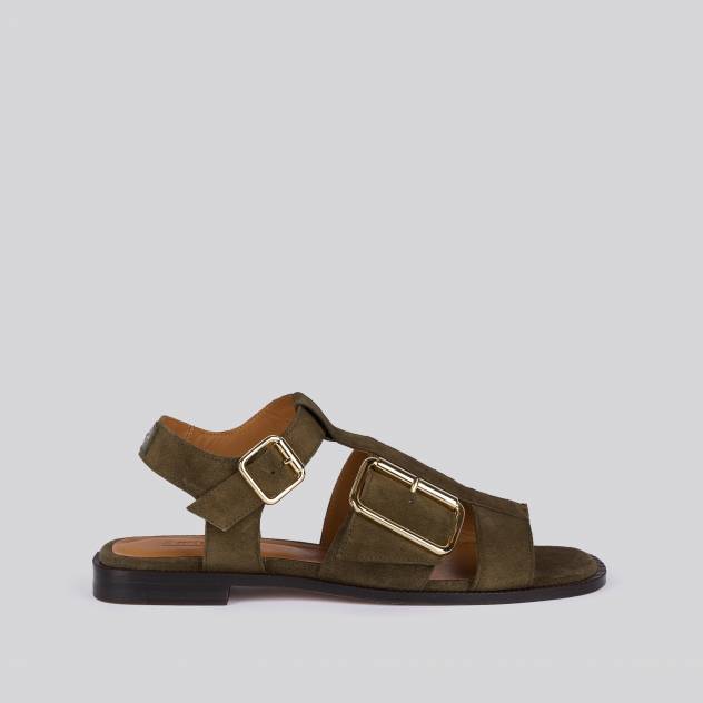 Olive 383