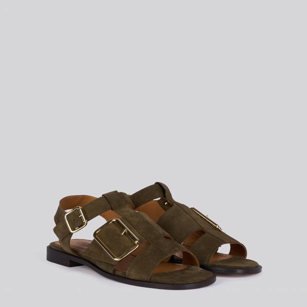 Olive 383
