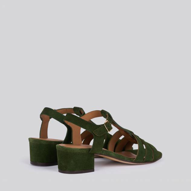 Vert 019