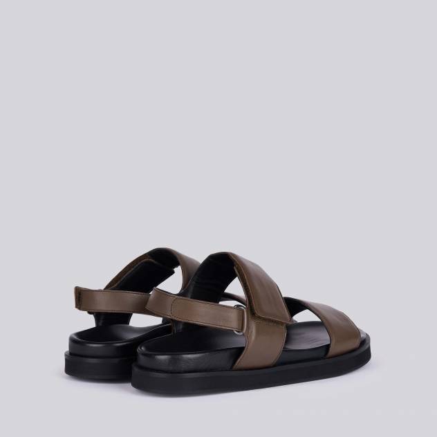 Taupe 0463