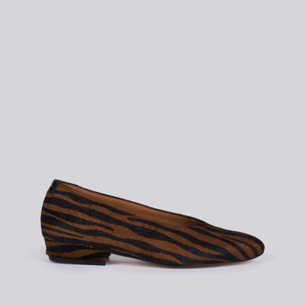 Zebra marron 10