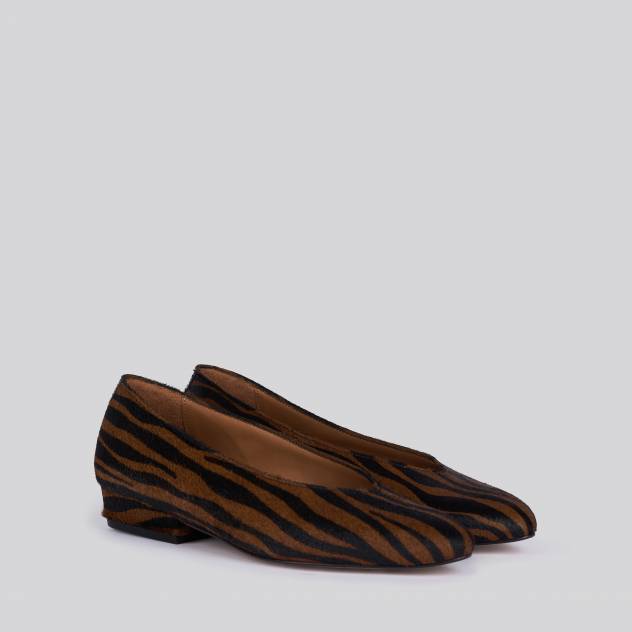 Zebra marron 10