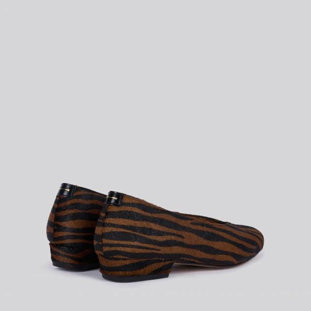 Zebra marron 10