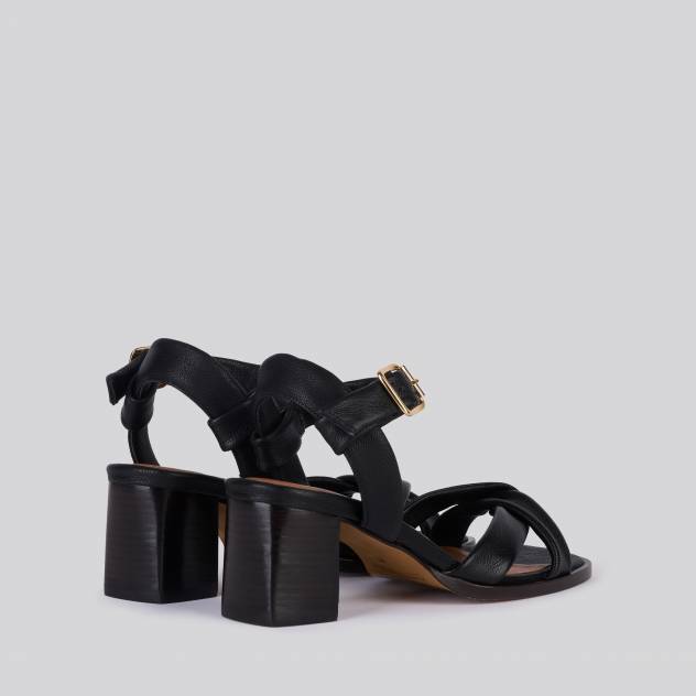 Noir