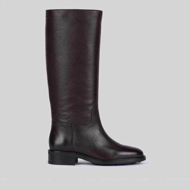 Marron 019