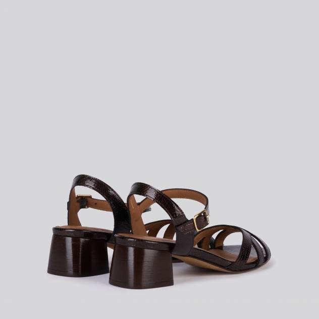 Marron 3568