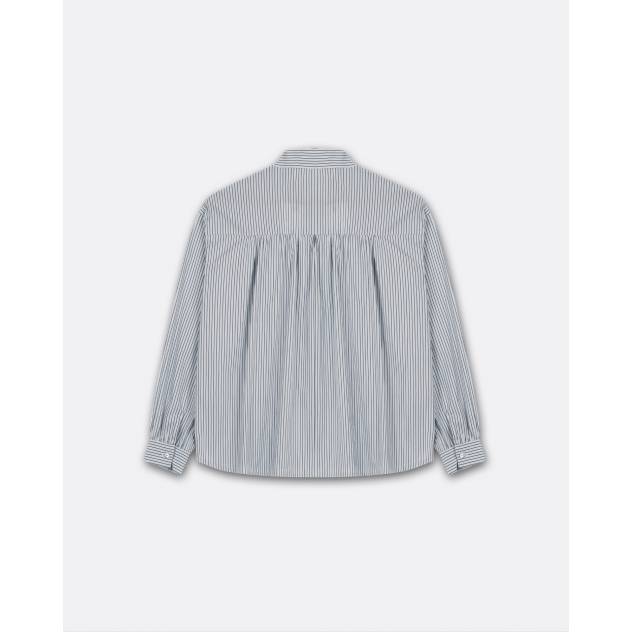 Ray bleu/gris