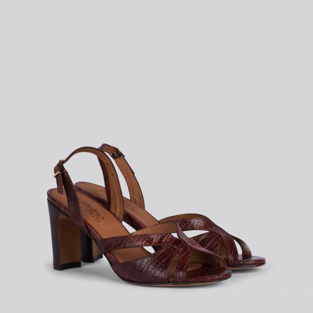 Marron 309