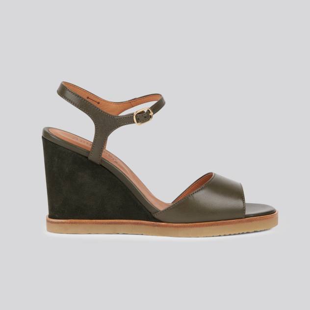 Camel 016