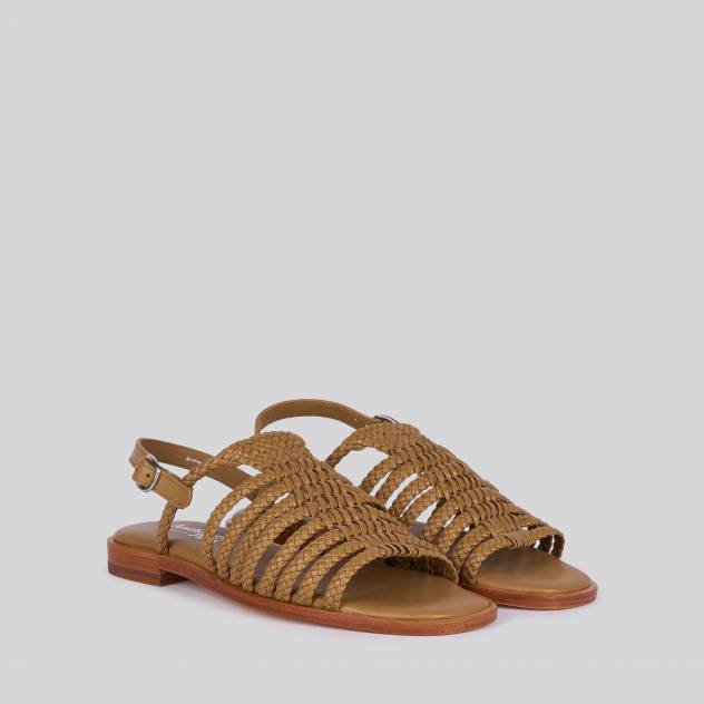 Camel